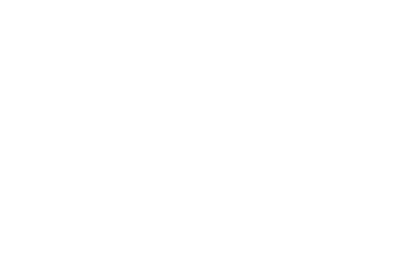 Dankort logo